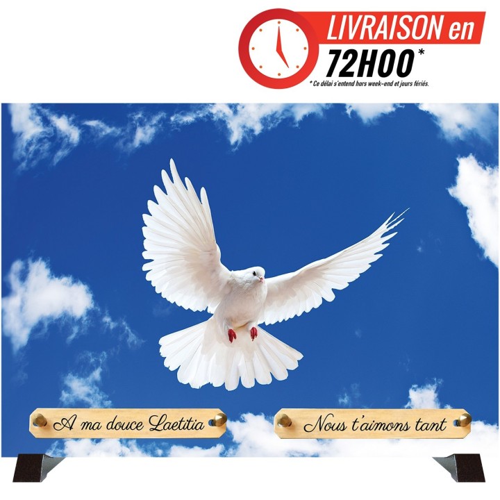 Plaque funéraire Colombe dans le ciel | Artis