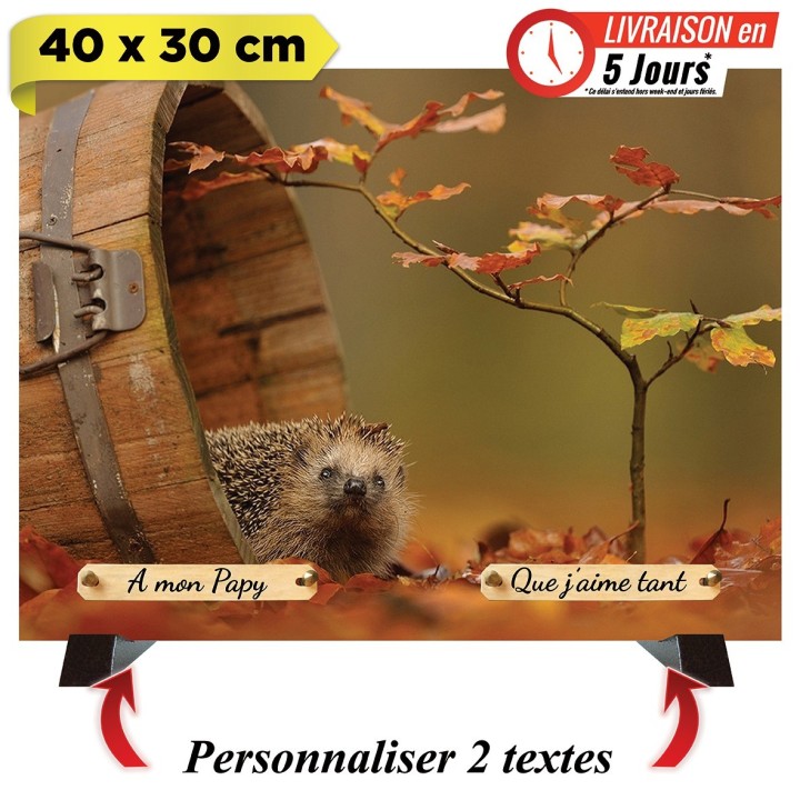 Plaque funéraire Hérisson personnalisable | Artis