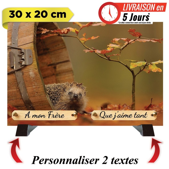 Plaque funéraire Hérisson personnalisable | Artis