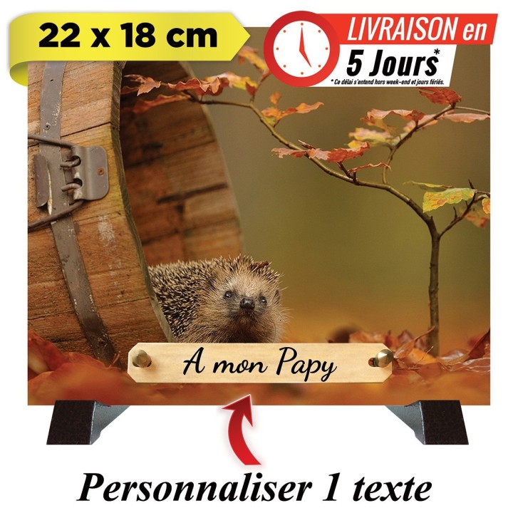 Plaque funéraire Hérisson personnalisable | Artis