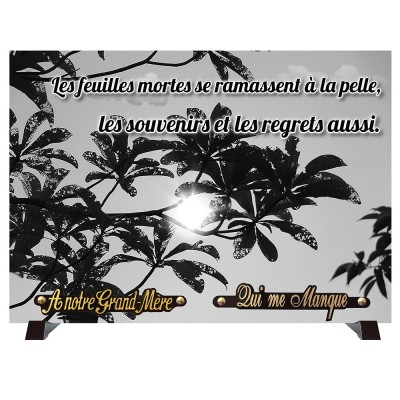 Plaque monochrome Feuilles soleil | Artis Funéraire