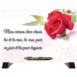 Plaque Funéraire rose éclat